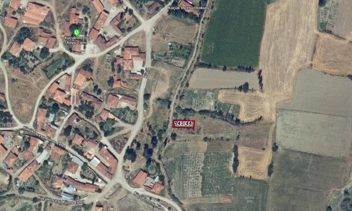 Fotoğraf
